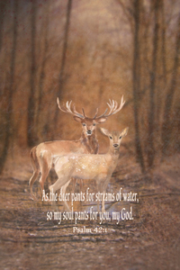 As The Deer Pants For Water