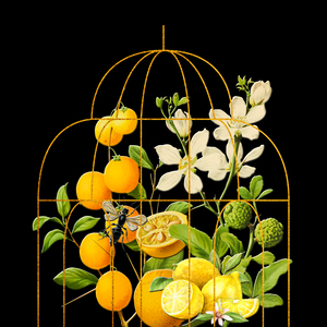 Vintage Botanical Series 6 