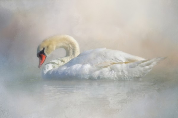 Out Of The Mist Print