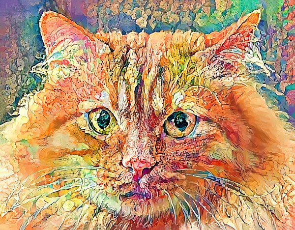 Flower Power Jenny Cat Print