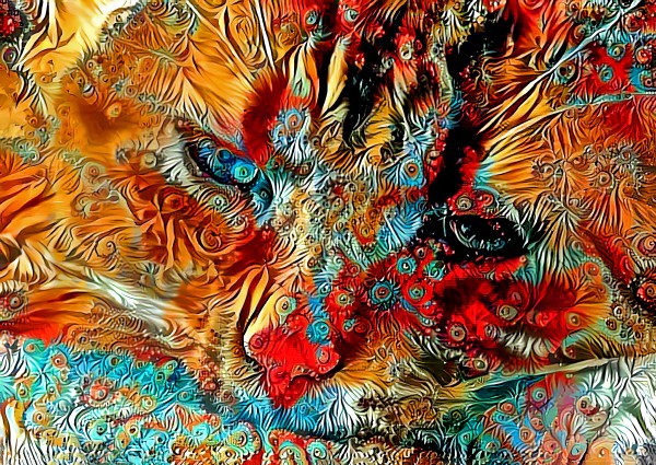 Colorful Callie  Print