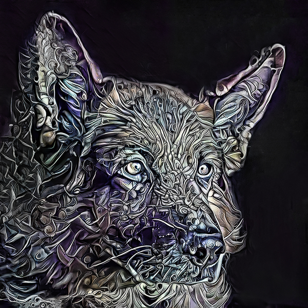 Duke The German Shepherd  Print