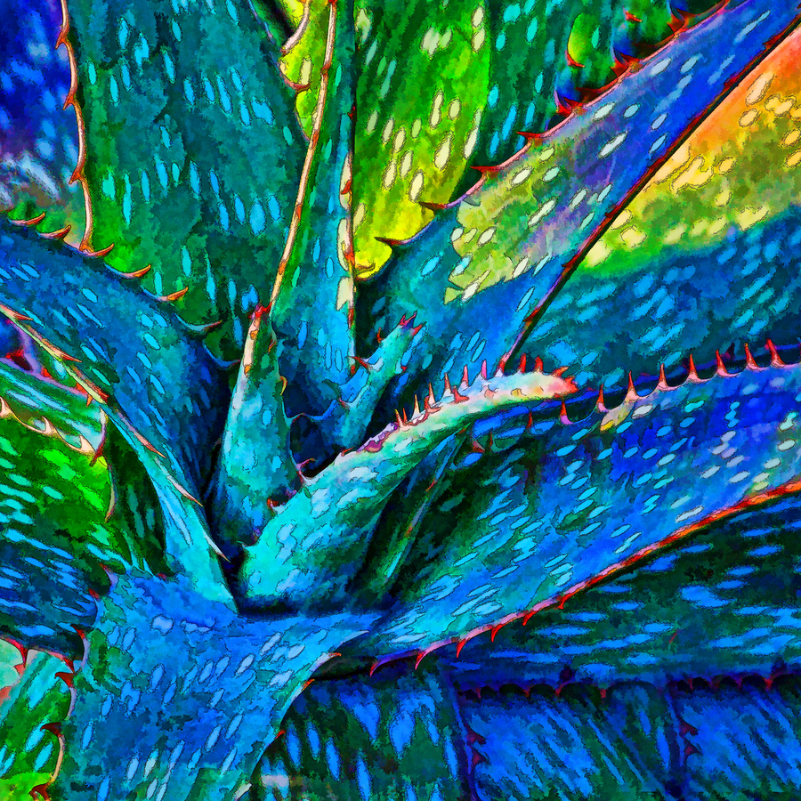 aloe vera kaufen bio Bio Aloe Vera Spray main image 0
