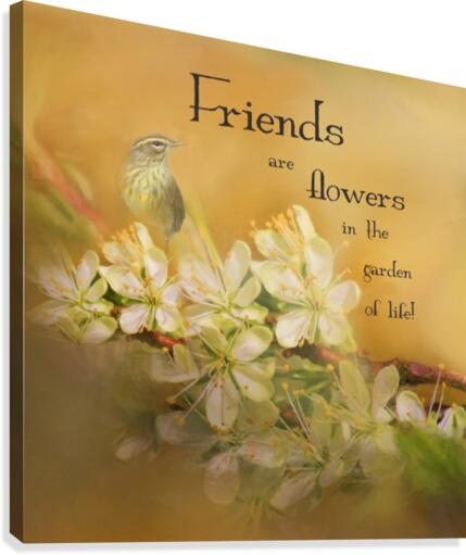 Friendship  Canvas Print