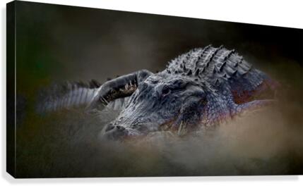 Swamp Creature  Canvas Print