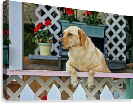 People Watching Canvas Print