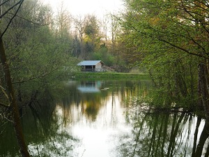 Chalet au bord de l’eau – Reflet forestier