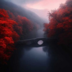 Splendor of nature