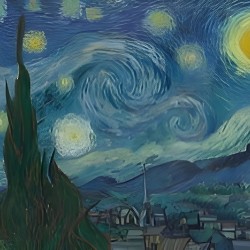 The Starry Night 