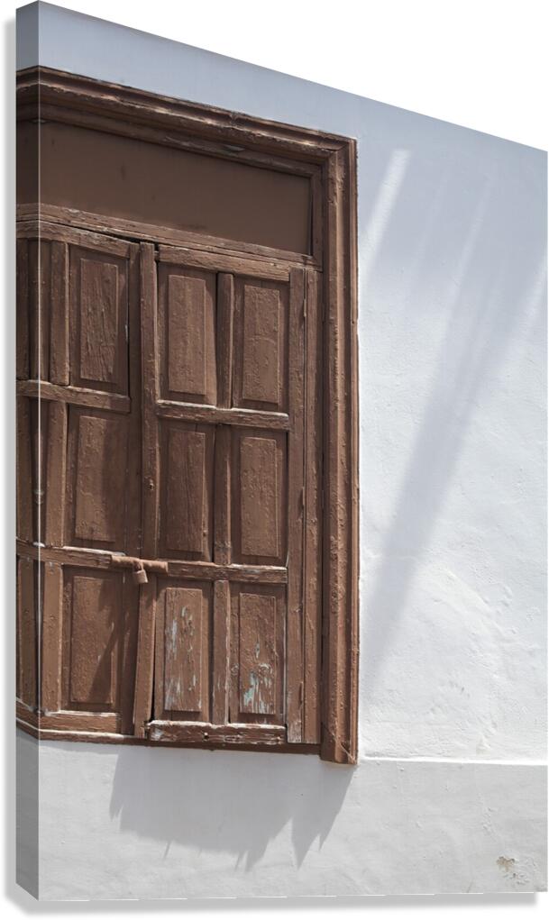 Volet marron Canvas Print