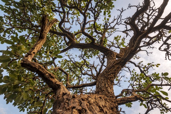 Resilience - Open arms by Augusto Miranda