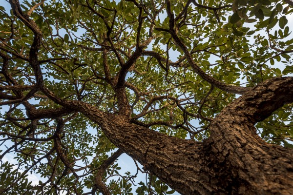 Resilience - Reach by Augusto Miranda