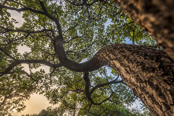 Resilience - Way by Augusto Miranda