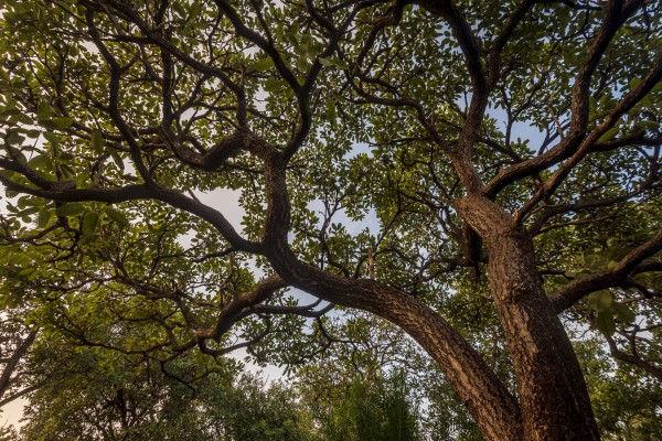 Resilience - Shelter by Augusto Miranda