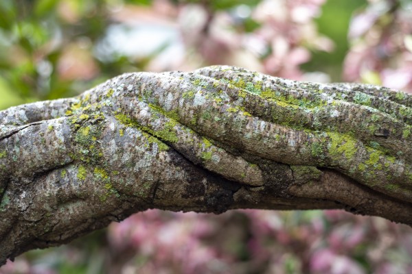 Force within by Augusto Miranda