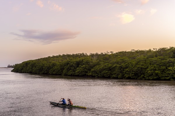Row into the sun by Augusto Miranda