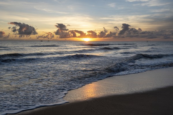 Sunrise Golden by Augusto Miranda