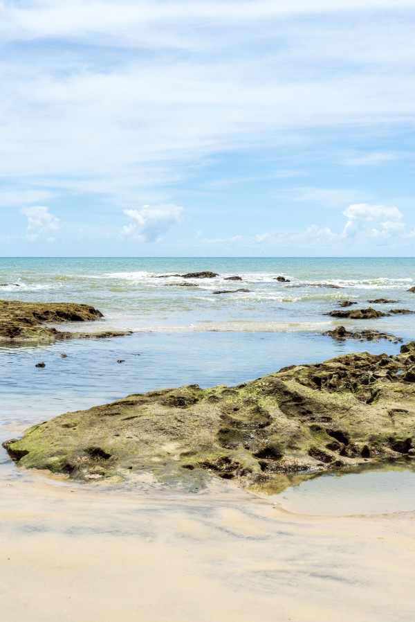 Into clear waters by Augusto Miranda