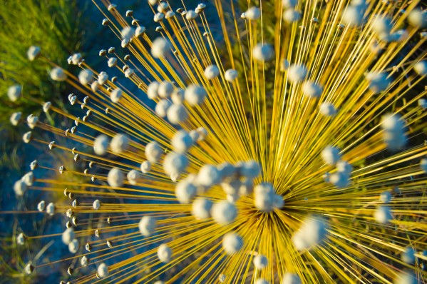 Expansion by Augusto Miranda