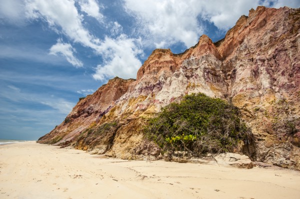 Multicolor by Augusto Miranda