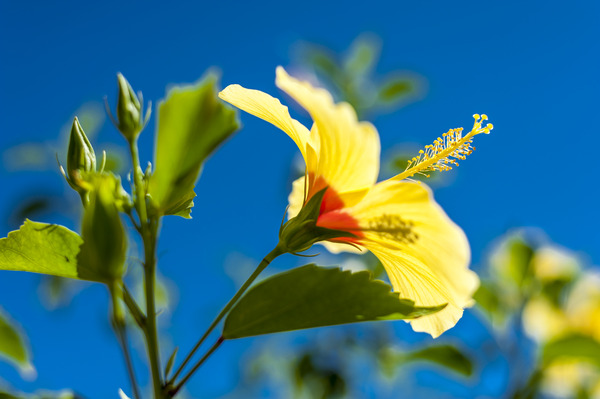 1427_2011 - Prado - BA by Augusto Miranda