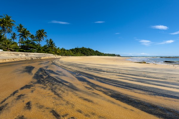 Flowing into the sea by Augusto Miranda