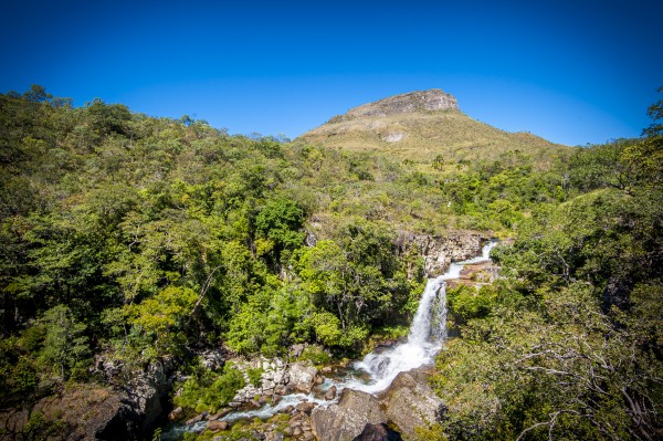 Path by Augusto Miranda