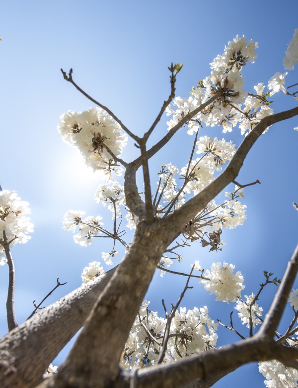 Bright white - Up by Augusto Miranda
