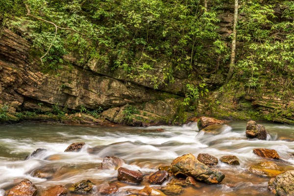 Flow by Augusto Miranda