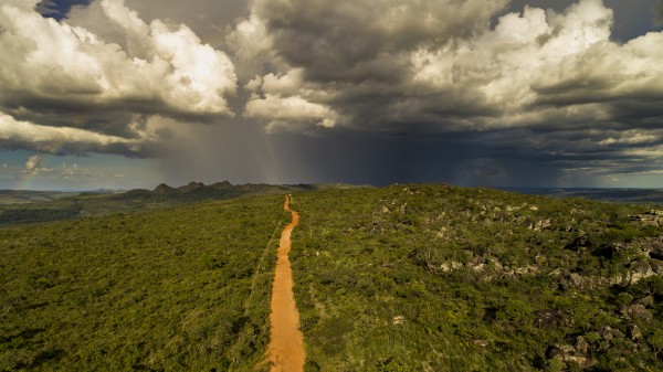 Golden way into the rain by Augusto Miranda