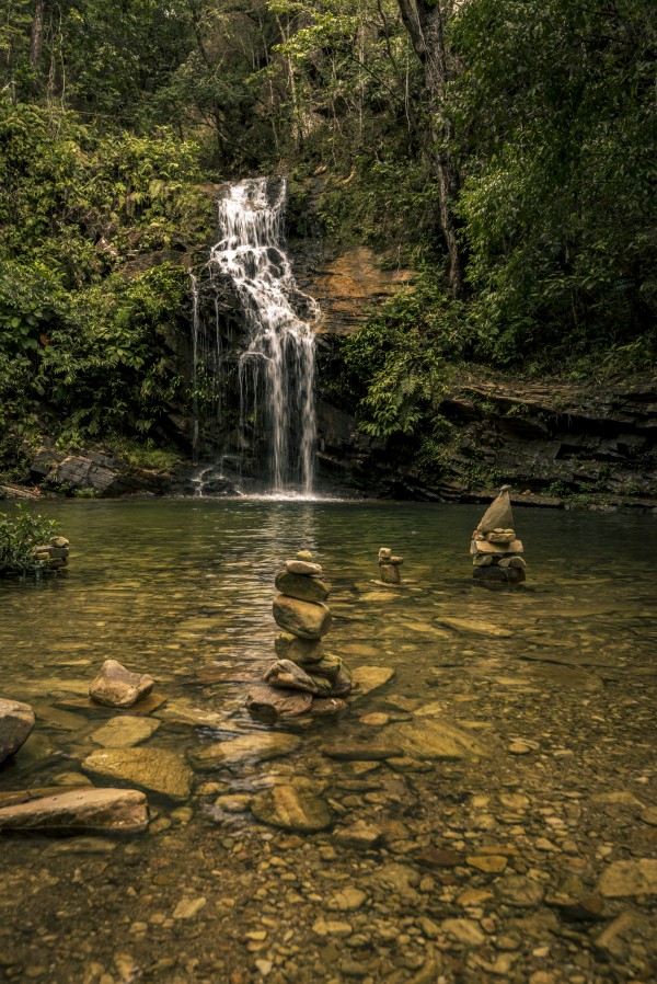 Golden paradise by Augusto Miranda