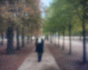 Figure in Jardin du Tuileries zone plate