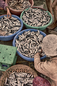 Hoi An Fish Market