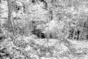 Perpignan Faerieland Infrared