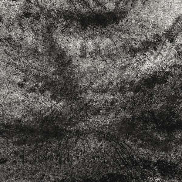 Tree Abstract II by Artilism