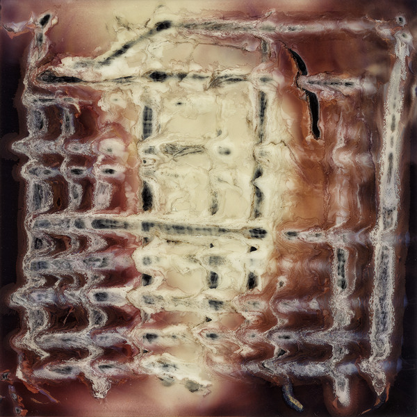 Untitled I Polaroid manipulation Print