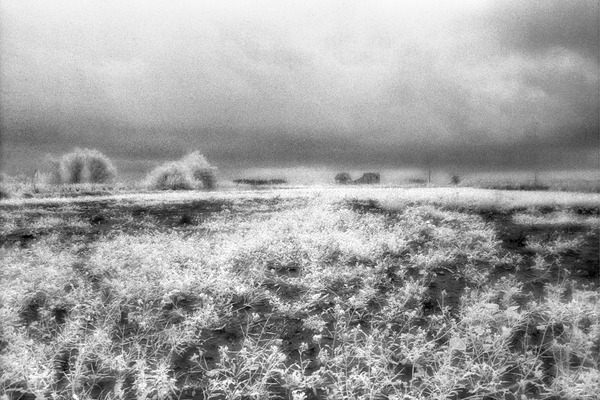 Barn In Field Infrared Print