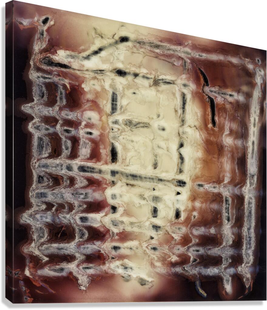 Untitled I Polaroid manipulation Canvas Print