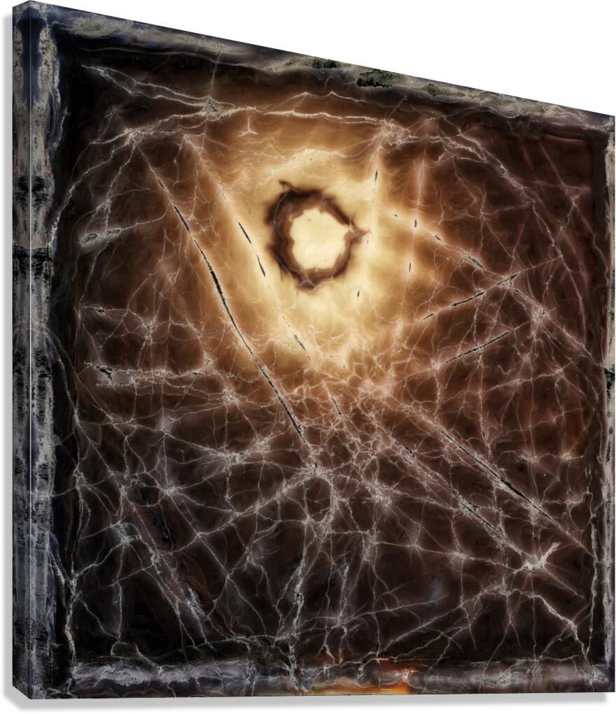 Untitled II Polaroid manipulation Canvas Print