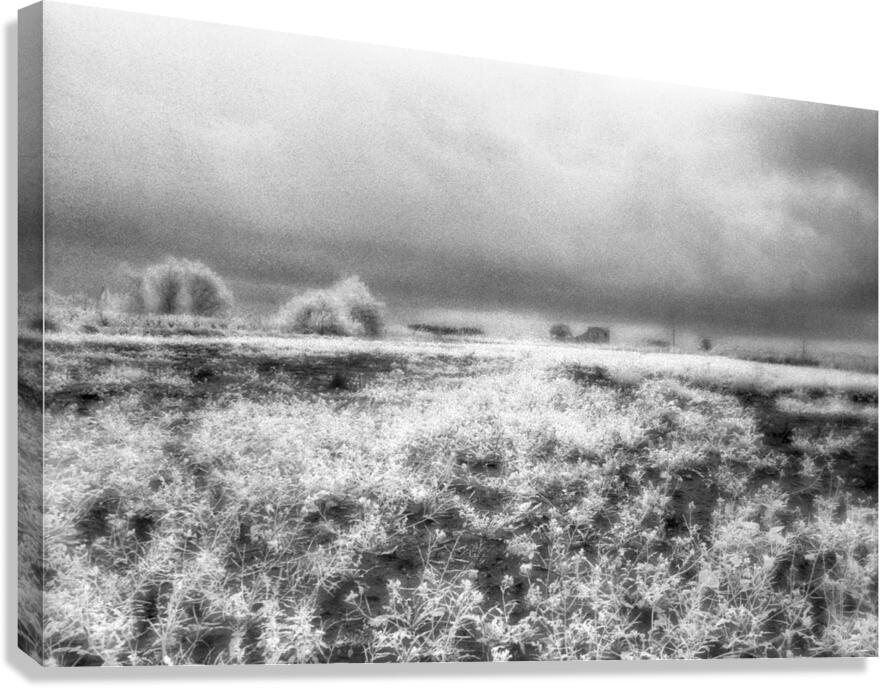 Barn In Field Infrared Canvas Print