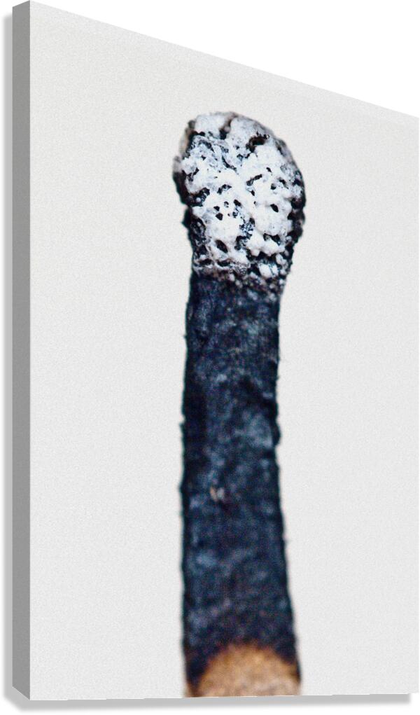 Burned III Canvas Print