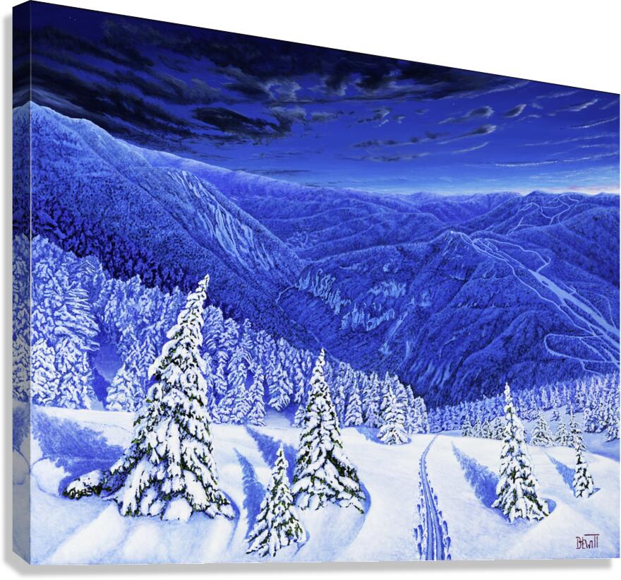 Spruce Peak Canvas Print