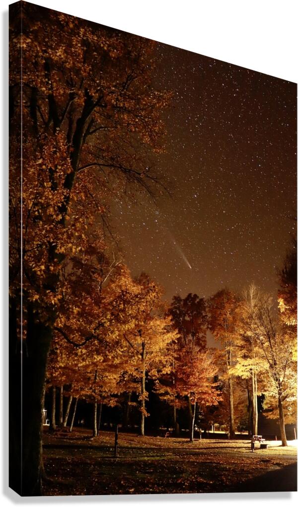 Free Falling Canvas Print