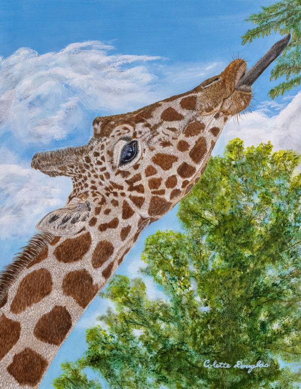 Treetop Feast by Colette Douglas