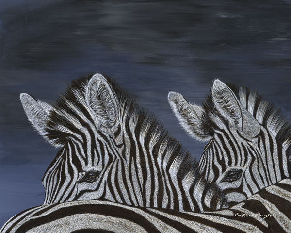 Perfect Cover by Colette Douglas