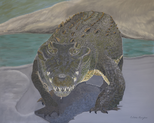 Walk with Crocs by Colette Douglas