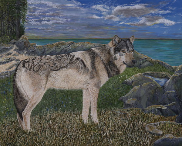 Respectful One Takaya by Colette Douglas