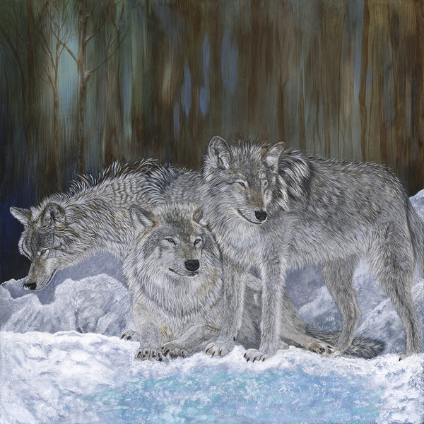 Trusting Trio by Colette Douglas