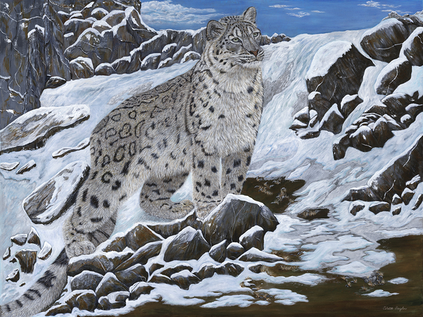 Disappering into Thin Air by Colette Douglas