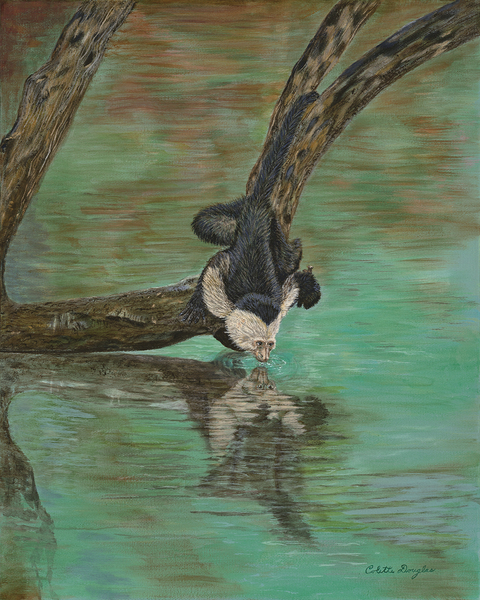 One with Trees by Colette Douglas